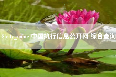 海西中国执行信息公开网 综合查询