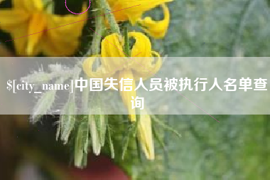 海西中国失信人员被执行人名单查询