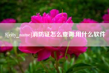 海西消防证怎么查询,用什么软件
