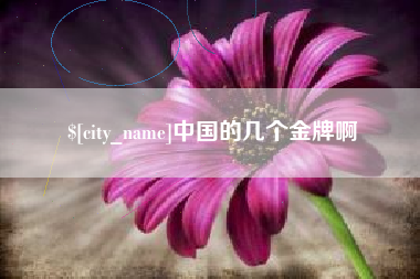 海西中国的几个金牌啊