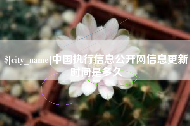 海西中国执行信息公开网信息更新时间是多久