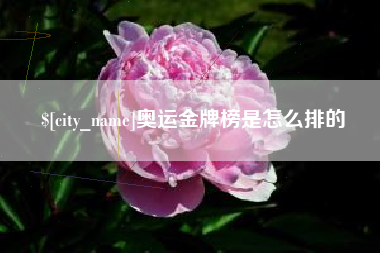 海西奥运金牌榜是怎么排的
