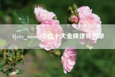 海西中国十大金牌律师名单