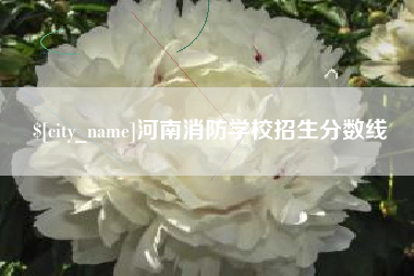 海西河南消防学校招生分数线