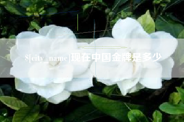 海西现在中国金牌是多少