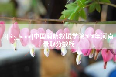 海西中国消防救援学院2020年河南录取分数线