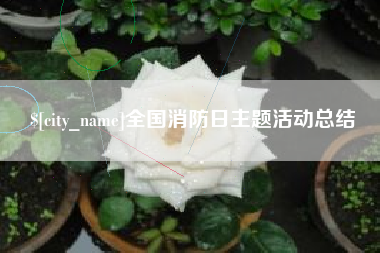 海西全国消防日主题活动总结