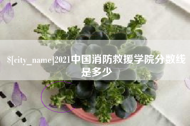 海西2021中国消防救援学院分数线是多少