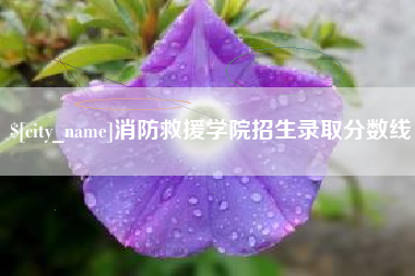 海西消防救援学院招生录取分数线