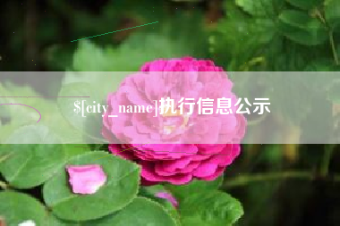 海西执行信息公示