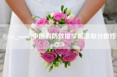 海西中国消防救援学院录取分数线2020