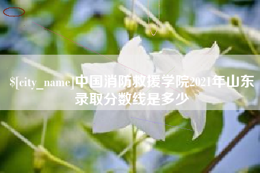 海西中国消防救援学院2021年山东录取分数线是多少