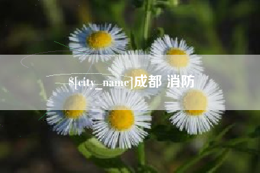 海西成都 消防