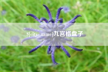 海西九宫格盘子