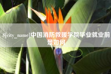 海西中国消防救援学院毕业就业前景如何