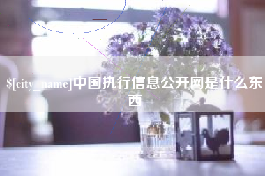 海西中国执行信息公开网是什么东西