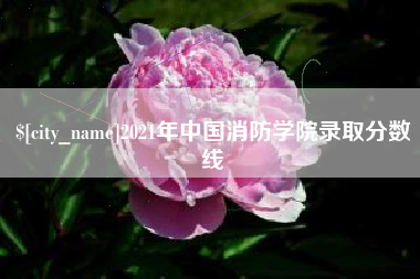 海西2021年中国消防学院录取分数线