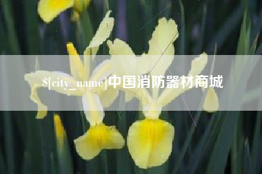 海西中国消防器材商城