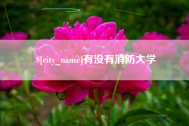 海西有没有消防大学