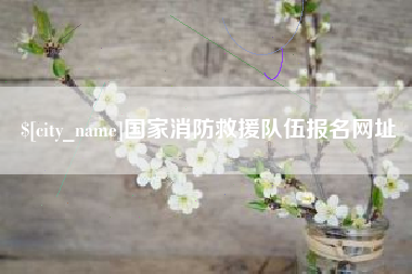 海西国家消防救援队伍报名网址