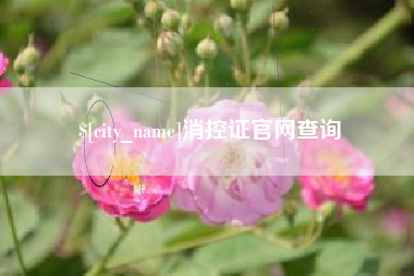 海西消控证官网查询