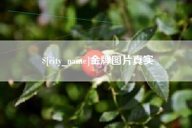 海西金牌图片真实