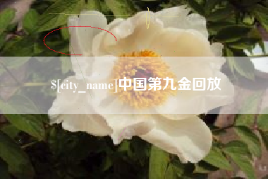 海西中国第九金回放