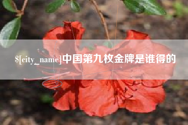 海西中国第九枚金牌是谁得的
