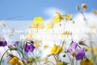 海西中国执行信息公开网查不到被执行人是不是已解除限高