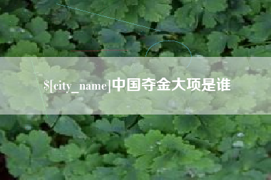 海西中国夺金大项是谁