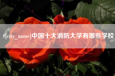 海西中国十大消防大学有哪些学校