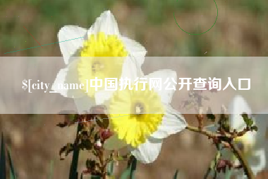 海西中国执行网公开查询入口