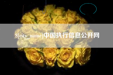 海西中国执行信息公开网