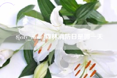 海西森林消防日是哪一天