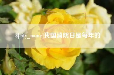海西我国消防日是每年的