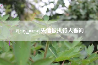 海西失信被执行人杳询