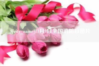 海西11月9日全国消防日图片
