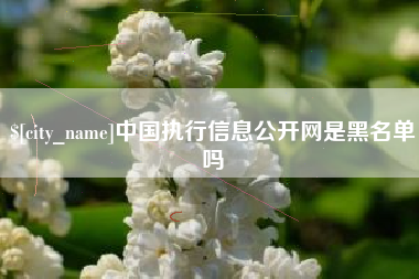 海西中国执行信息公开网是黑名单吗