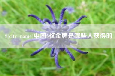 海西中国6枚金牌是哪些人获得的