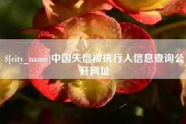 海西中国失信被执行人信息查询公开网址