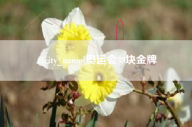 海西奥运会39块金牌