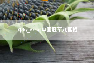 海西中国冠军九宫格