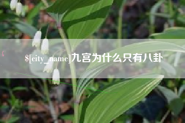 海西九宫为什么只有八卦
