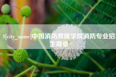 海西中国消防救援学院消防专业招生简章