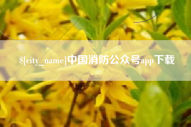 海西中国消防公众号app下载