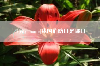 海西我国消防日是哪日