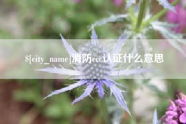 海西消防ccc认证什么意思