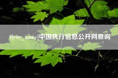 海西中国执行信息公开网查询