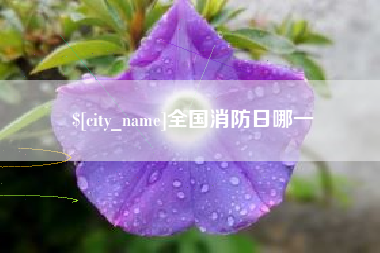 海西全国消防日哪一