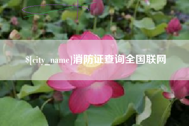 海西消防证查询全国联网